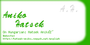aniko hatsek business card